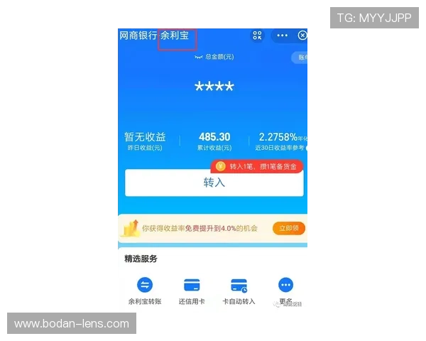 国内买球平台电子真人避坑技巧极速提现指南